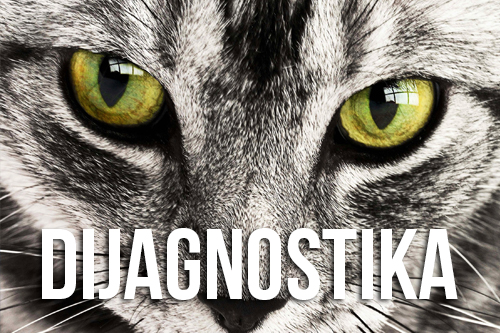 DIJAGNOSTIKA